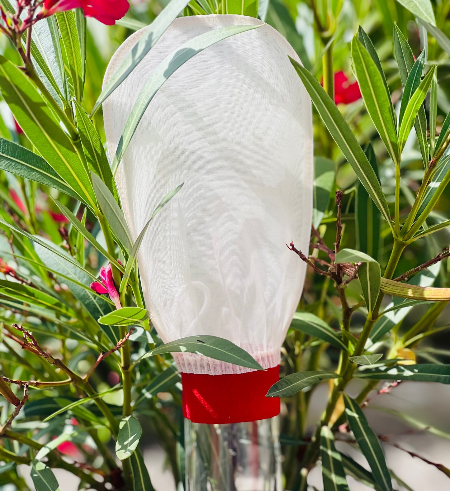 Gant exfoliant en soie – Soin corporel doux et efficace