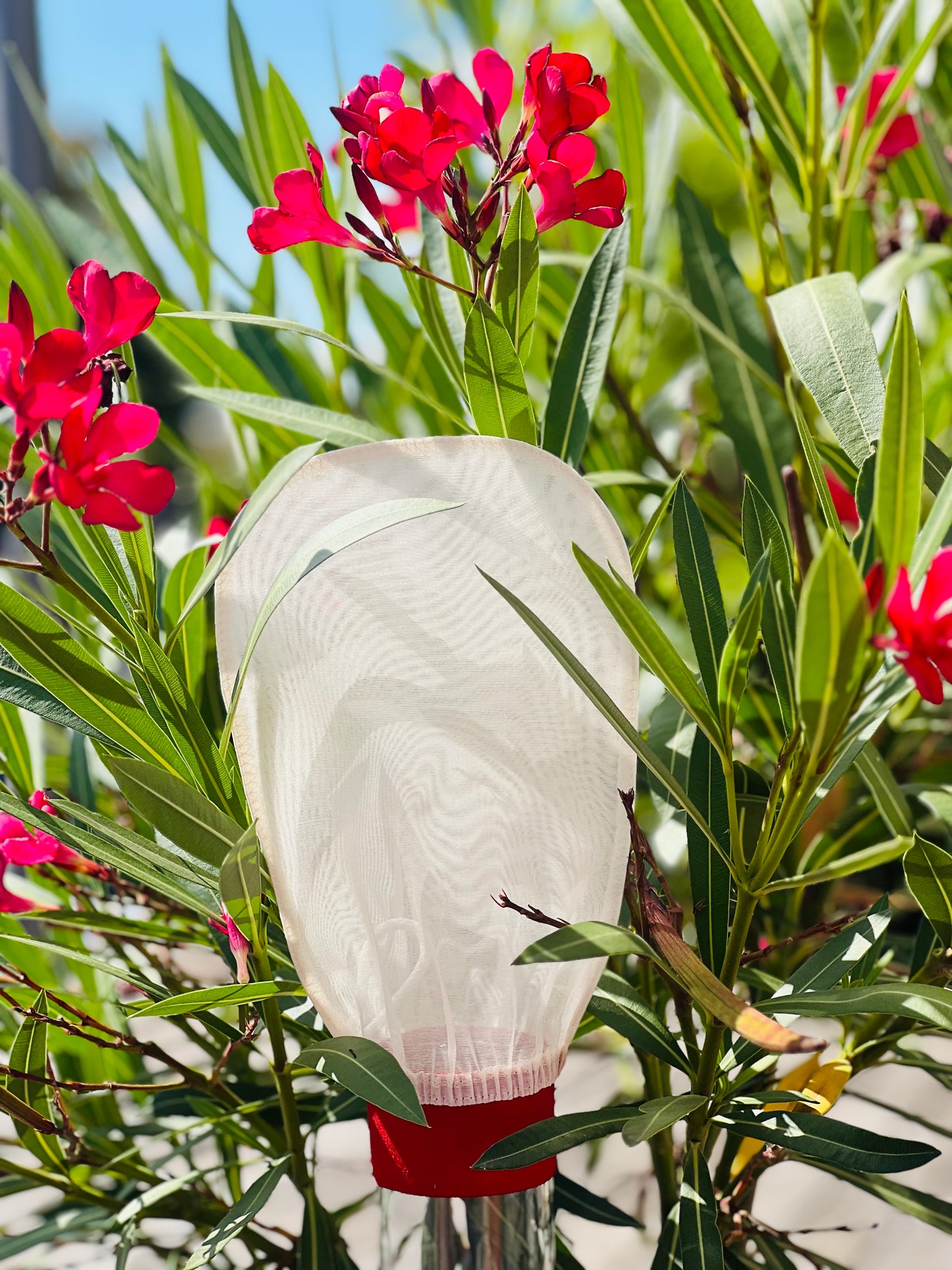 Gant exfoliant en soie – Soin corporel doux et efficace